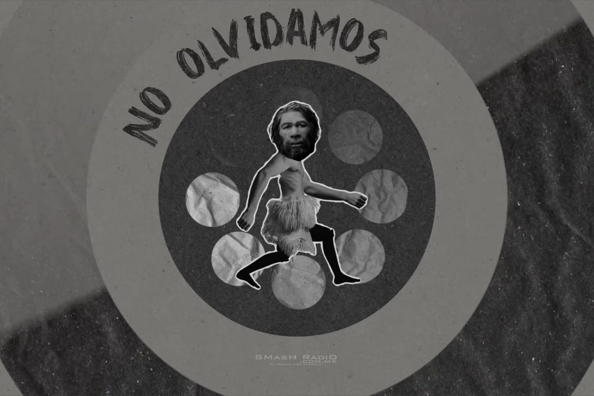 molotov no olvidamos-video-img-1